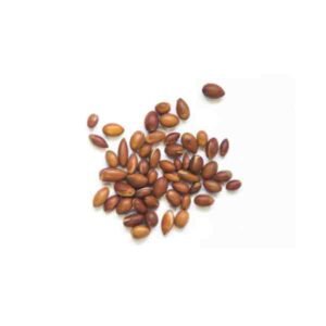 Argan Oil