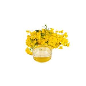 Canola Oil